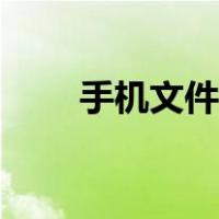 手机文件恢复大师（手机文件恢复）