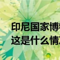 印尼国家博物馆大火已被扑灭，无人员伤亡 这是什么情况？