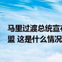 马里过渡总统宣布与布基纳法索和尼日尔建立萨赫勒国家联盟 这是什么情况？