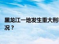 黑龙江一地发生重大刑事案件，嫌疑人已被抓获 这是什么情况？