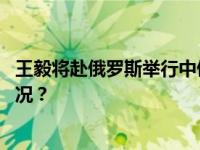 王毅将赴俄罗斯举行中俄第十八轮战略安全磋商 这是什么情况？