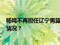 杨鸣不再担任辽宁男篮主教练，乌戈·洛佩斯接任 这是什么情况？