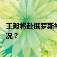 王毅将赴俄罗斯举行中俄第十八轮战略安全磋商 这是什么情况？