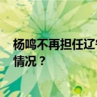 杨鸣不再担任辽宁男篮主教练，乌戈·洛佩斯接任 这是什么情况？