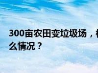 300亩农田变垃圾场，村民多次反映无果！银川通报 这是什么情况？