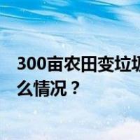 300亩农田变垃圾场，村民多次反映无果！银川通报 这是什么情况？