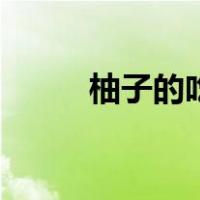 柚子的吃法和功效（柚子的吃法）