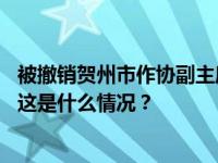 被撤销贺州市作协副主席职务的王忠民，辞去人大代表职务 这是什么情况？