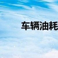 车辆油耗怎么计算（油耗怎么计算）