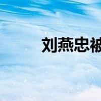 刘燕忠被“双开” 这是什么情况？