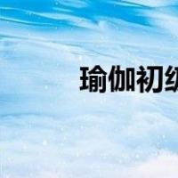 瑜伽初级教程在家练（瑜伽初级）