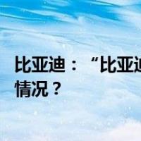 比亚迪：“比亚迪工作人员泄露商业秘密”系谣言 这是什么情况？