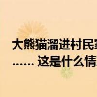 大熊猫溜进村民家中，全网关注！腿部骨折、疑有肝脏损伤…… 这是什么情况？