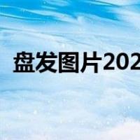 盘发图片2021款图片大全（盘发图片大全）