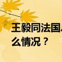 王毅同法国总统外事顾问博纳通电话 这是什么情况？