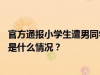 官方通报小学生遭男同学欺辱：工作组连夜进驻学校调查 这是什么情况？