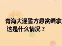 青海大通警方悬赏缉拿重大刑案嫌疑人：29年前案发后潜逃 这是什么情况？