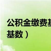 公积金缴费基数怎么算出来的啊（公积金缴费基数）