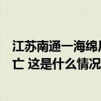 江苏南通一海绵厂房发生大火，现场黑烟翻滚，幸无人员伤亡 这是什么情况？