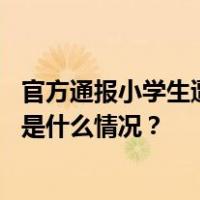 官方通报小学生遭男同学欺辱：工作组连夜进驻学校调查 这是什么情况？