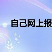 自己网上报税怎么报（网上报税怎么报）