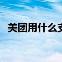 美团用什么支付方式好（美团用什么支付）