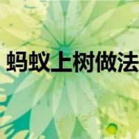 蚂蚁上树做法是肉沫炒什么（蚂蚁上树做法）