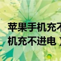 苹果手机充不进电开不了机怎么解决（苹果手机充不进电）