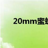 20mm蜜蜡手串价格（蜜蜡手串价格）