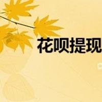 花呗提现怎么提现（花呗怎么提现）