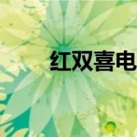 红双喜电烤箱的用法（烤箱的用法）