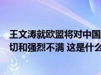 王文涛就欧盟将对中国电动汽车发起反补贴调查表达严正关切和强烈不满 这是什么情况？