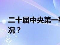 二十届中央第一轮巡视完成反馈 这是什么情况？