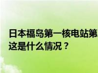 日本福岛第一核电站第二轮核污染水排海将从10月5日开始 这是什么情况？