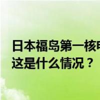 日本福岛第一核电站第二轮核污染水排海将从10月5日开始 这是什么情况？