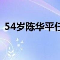 54岁陈华平任证监会副主席 这是什么情况？