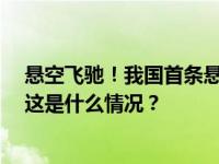 悬空飞驰！我国首条悬挂式空轨正式运营 出行又有新选择 这是什么情况？