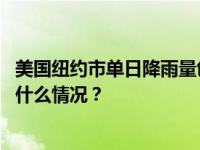 美国纽约市单日降雨量创历史纪录，数百架次航班延误 这是什么情况？