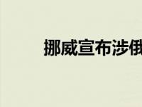 挪威宣布涉俄禁令 这是什么情况？