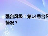 强台风级！第14号台风“小犬”或影响华南沿海 这是什么情况？