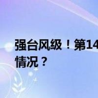 强台风级！第14号台风“小犬”或影响华南沿海 这是什么情况？