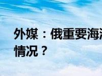 外媒：俄重要海滨度假地索契遭袭 这是什么情况？