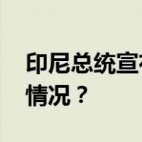 印尼总统宣布：雅万高铁正式启用 这是什么情况？