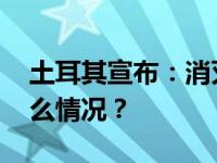 土耳其宣布：消灭“许多武装分子” 这是什么情况？