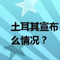 土耳其宣布：消灭“许多武装分子” 这是什么情况？