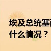 埃及总统塞西宣布参加新一届总统选举 这是什么情况？