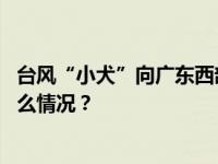 台风“小犬”向广东西部到海南岛东部一带沿海靠近 这是什么情况？