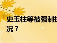 史玉柱等被强制执行​17.65亿元 这是什么情况？