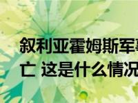 叙利亚霍姆斯军事学院遭袭事件已致89人死亡 这是什么情况？