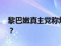 黎巴嫩真主党称炮击以军阵地 这是什么情况？